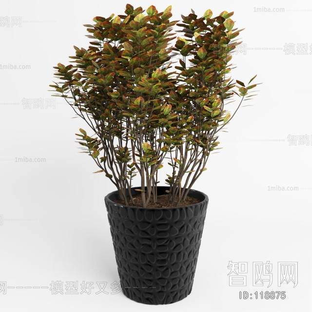 Modern Potted Green Plant