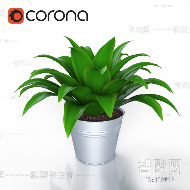 Modern Potted Green Plant