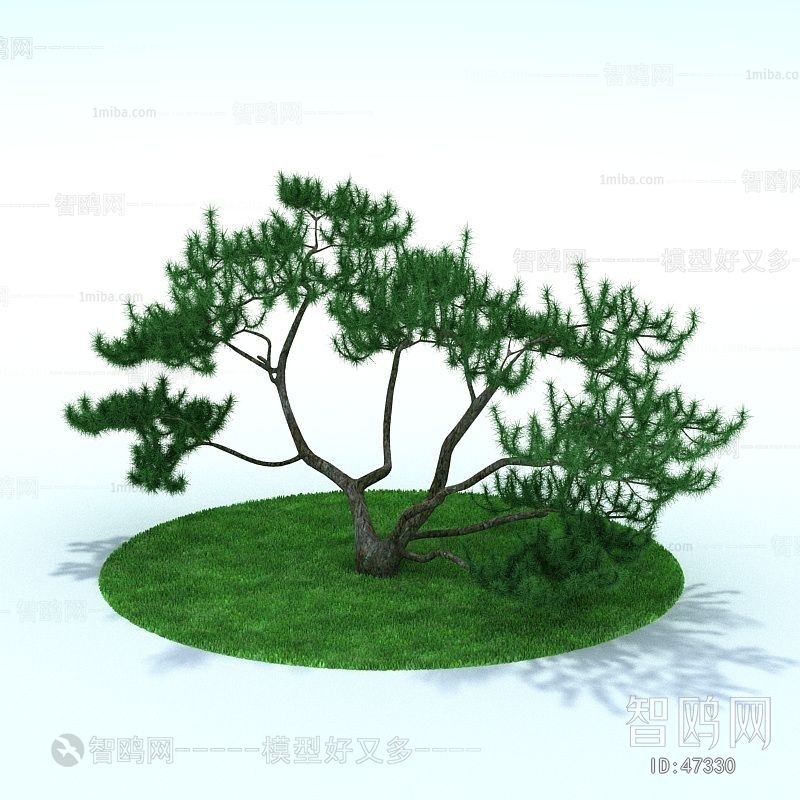 Modern Tree/shrub/grass