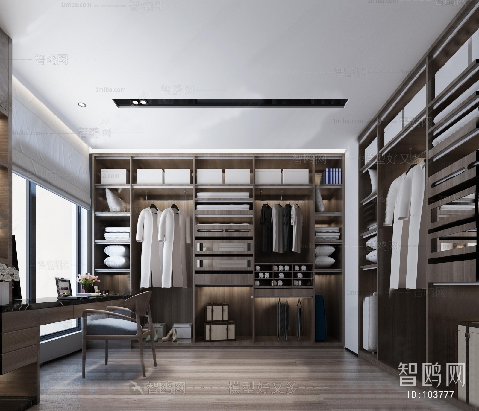 Modern Clothes Storage Area