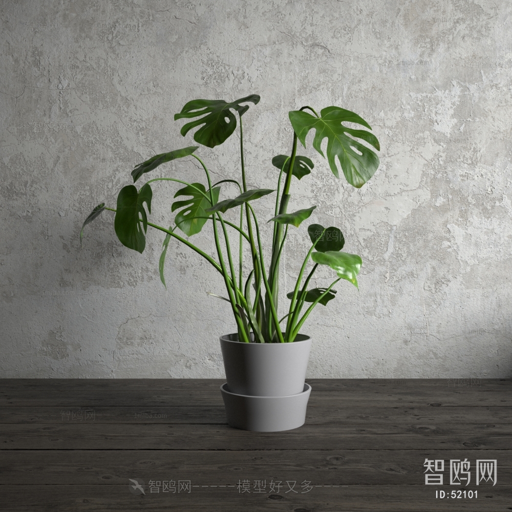 Modern Potted Green Plant