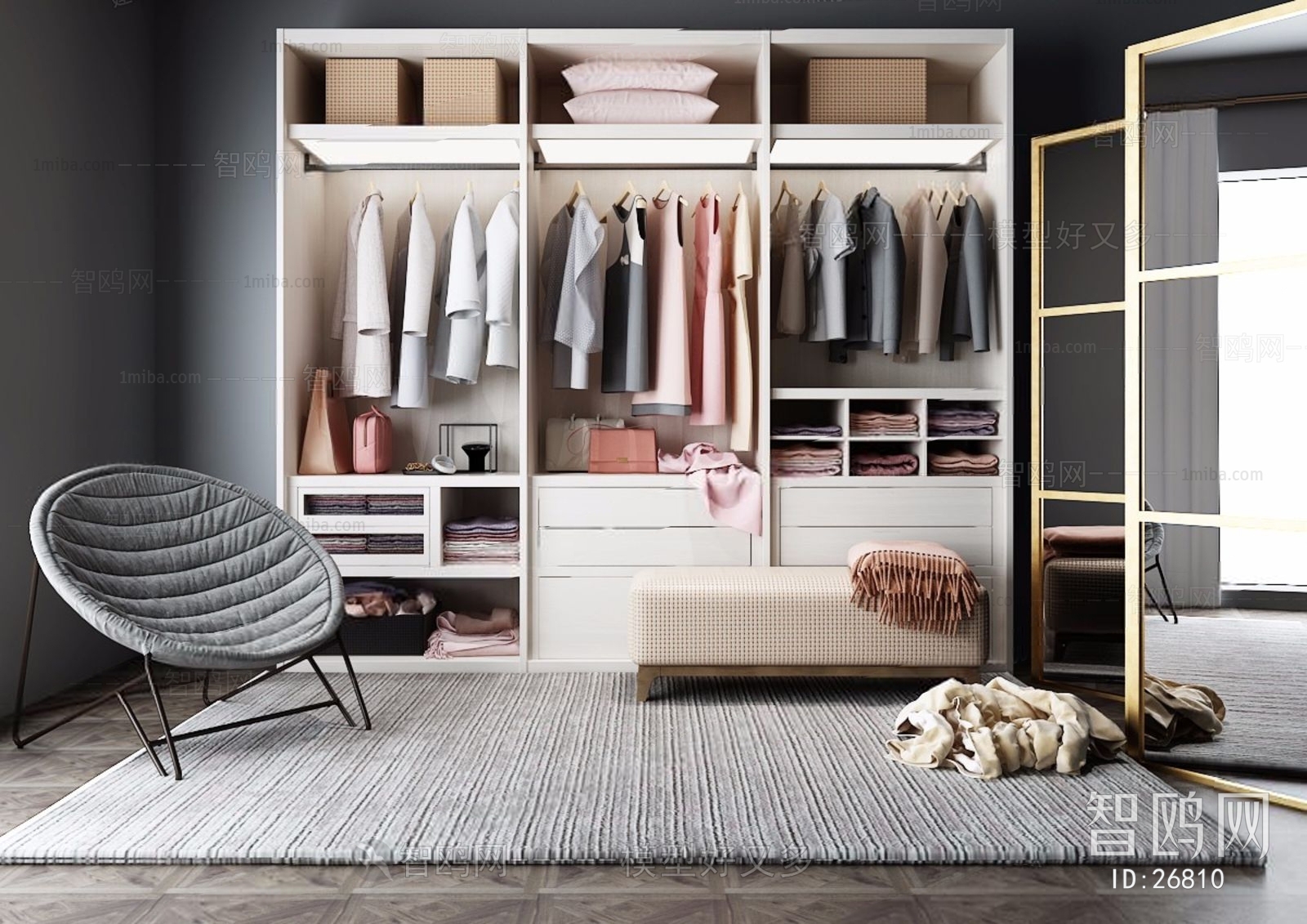 Modern Clothes Storage Area