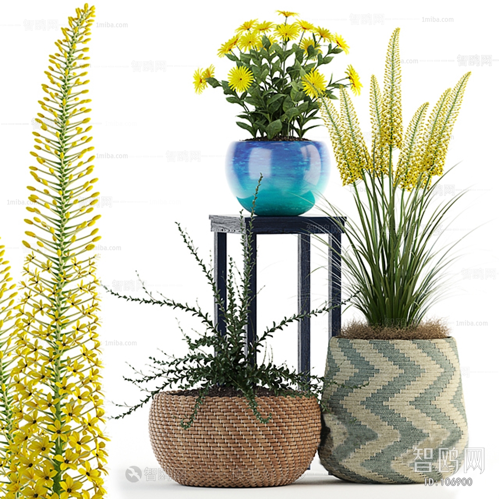 Modern Potted Green Plant