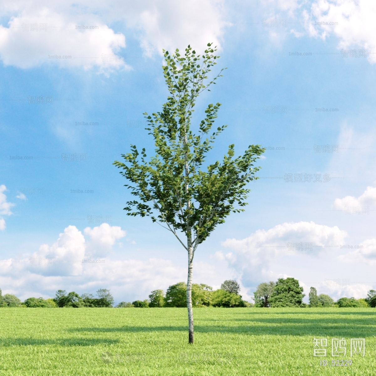 Modern Tree/shrub/grass