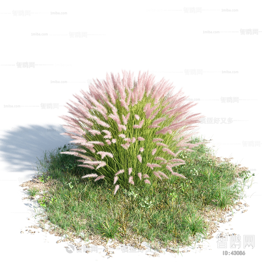 Modern Tree/shrub/grass