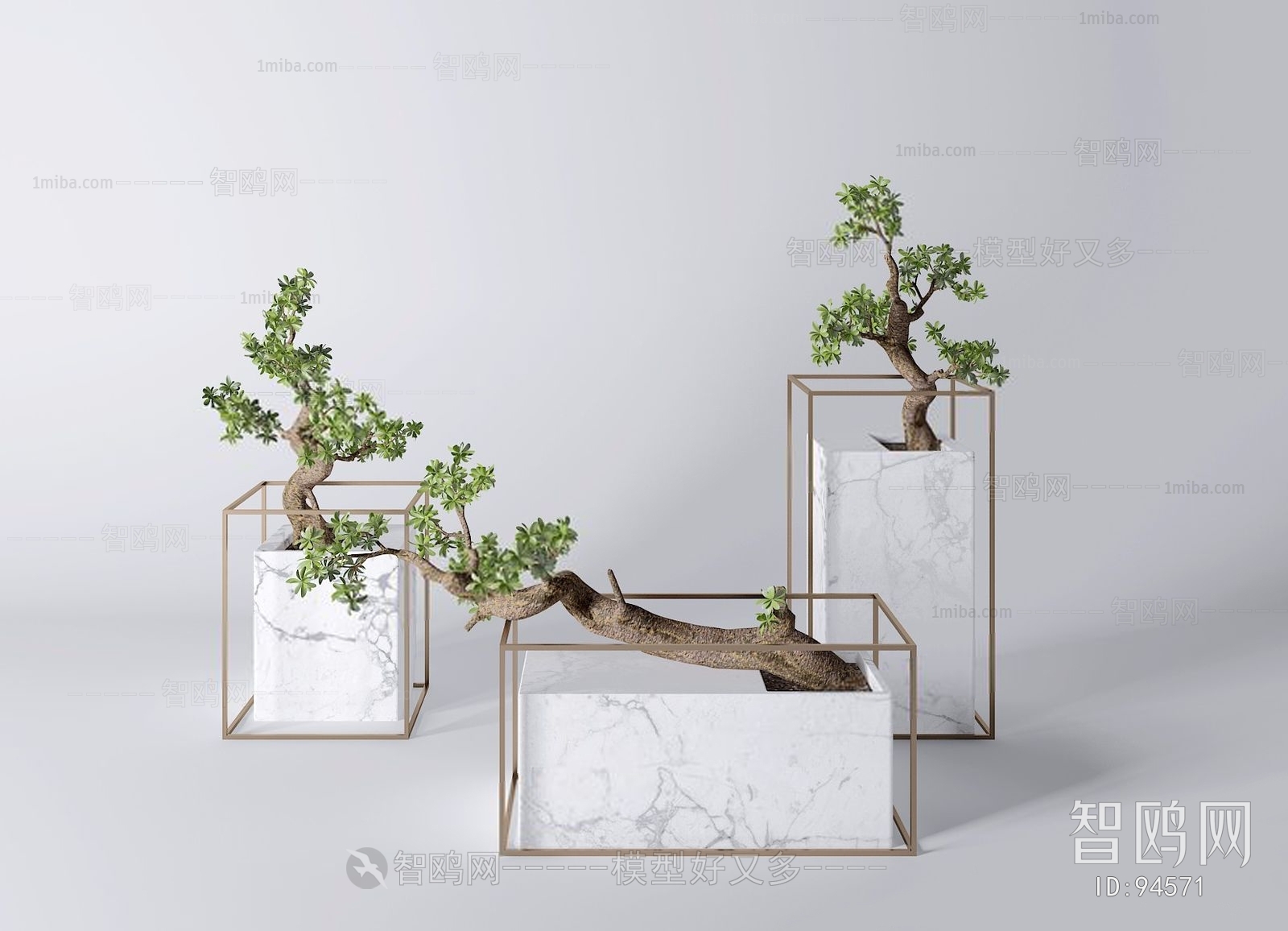 Modern Bonsai