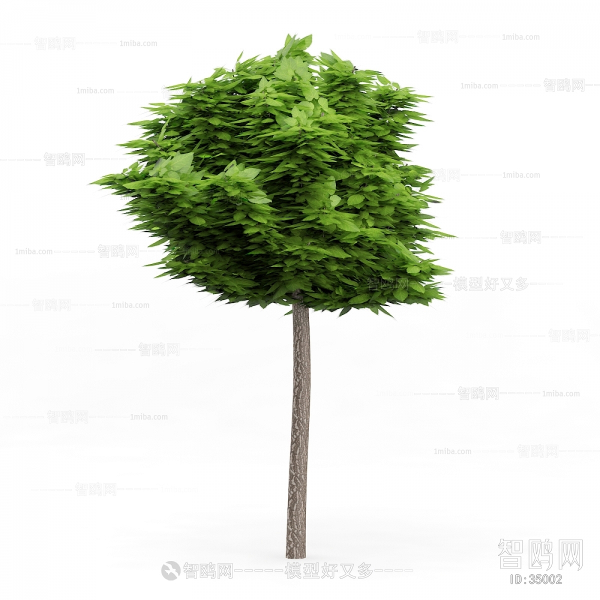 Modern Tree/shrub/grass