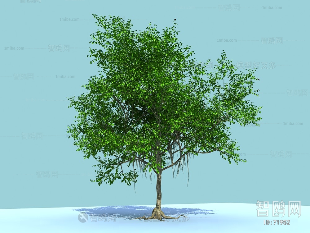 Modern Tree