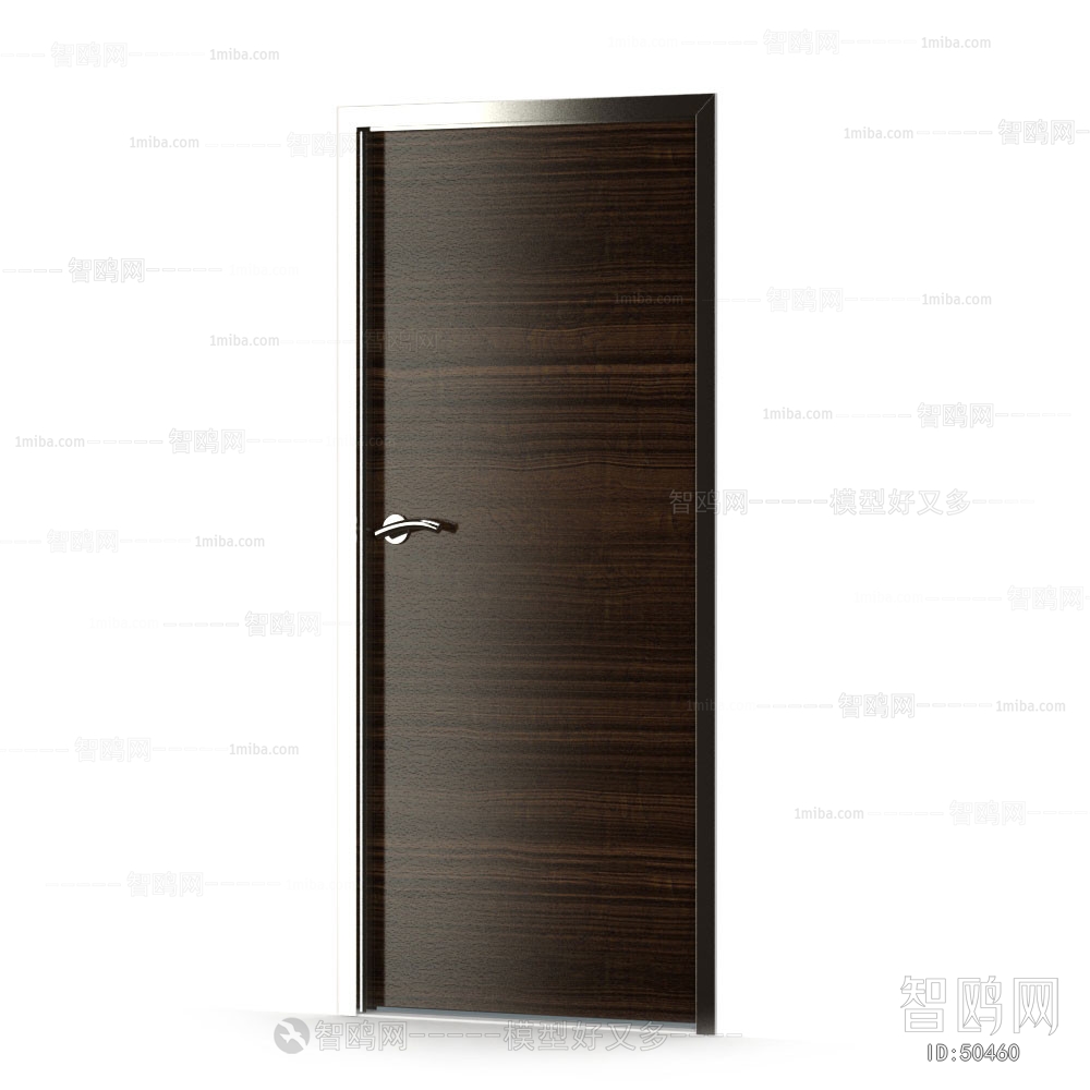 Modern Door