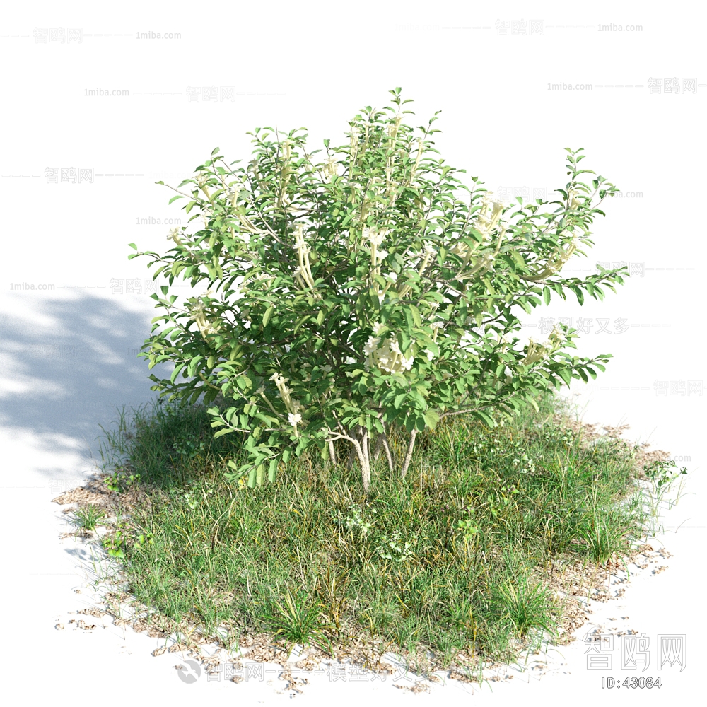 Modern Tree/shrub/grass