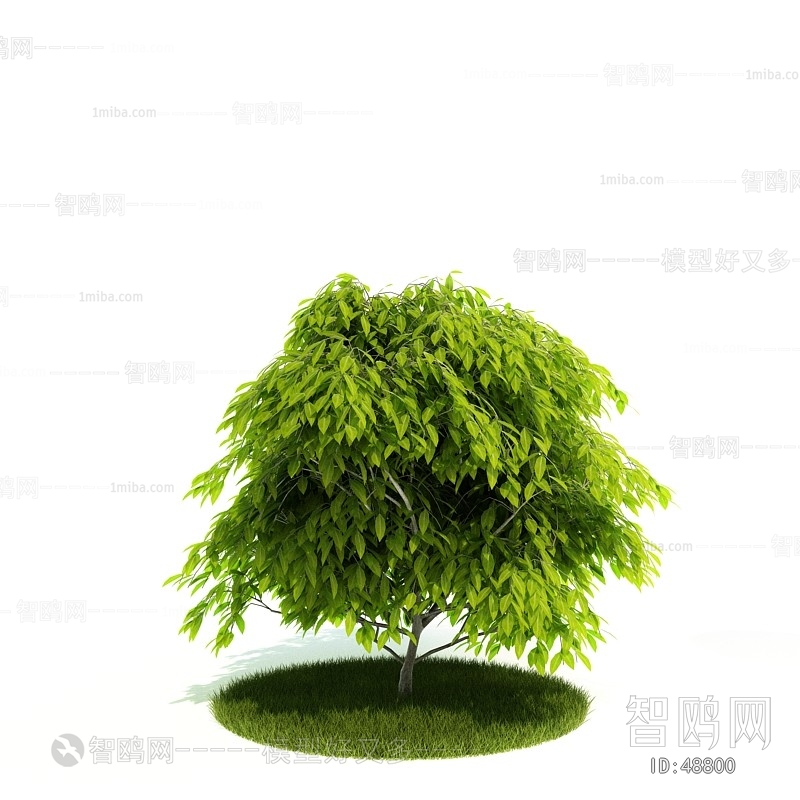 Modern Tree/shrub/grass