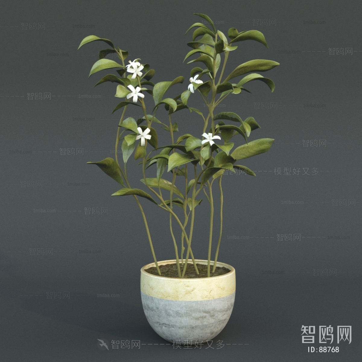 Modern Potted Green Plant