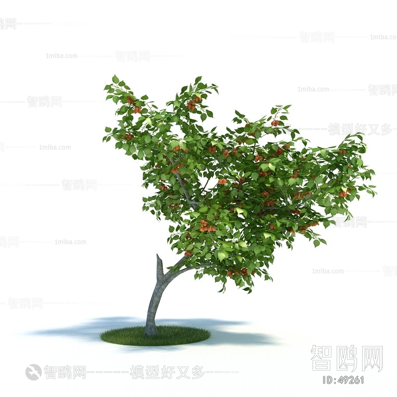 Modern Tree/shrub/grass