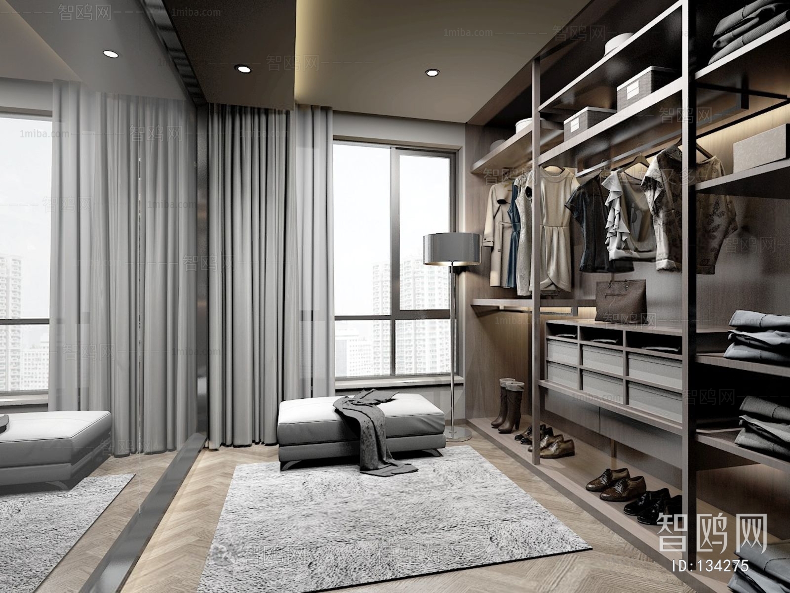 Modern Clothes Storage Area