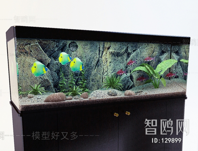 Modern Fish Tank