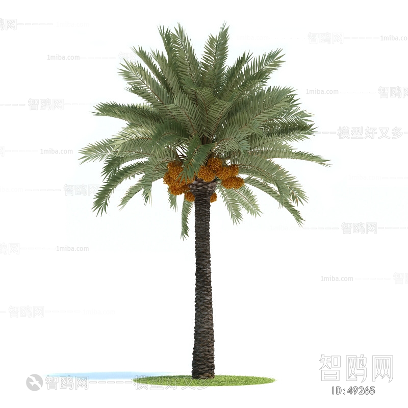 Modern Tree/shrub/grass