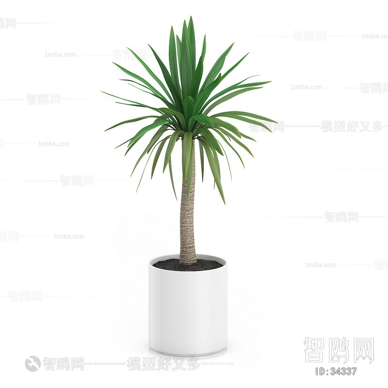 Modern Potted Green Plant