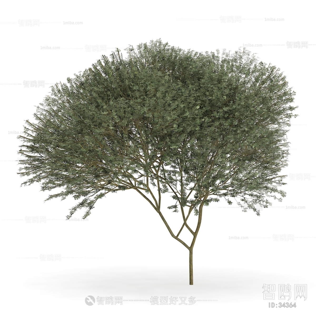 Modern Tree/shrub/grass