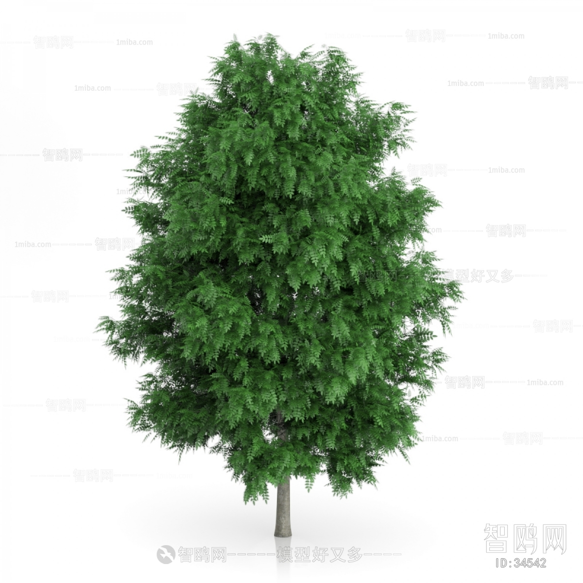 Modern Tree/shrub/grass