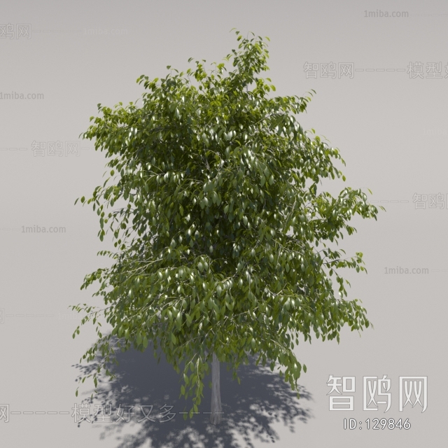 Modern Potted Green Plant