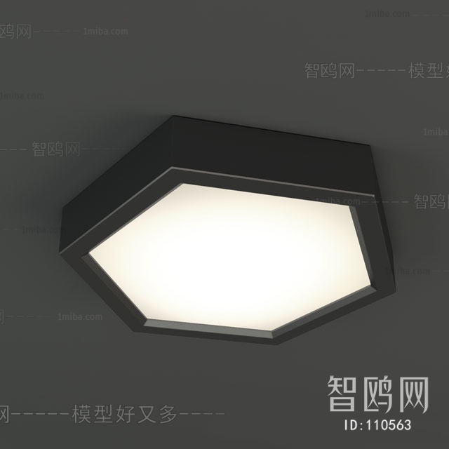 Modern Ceiling Ceiling Lamp