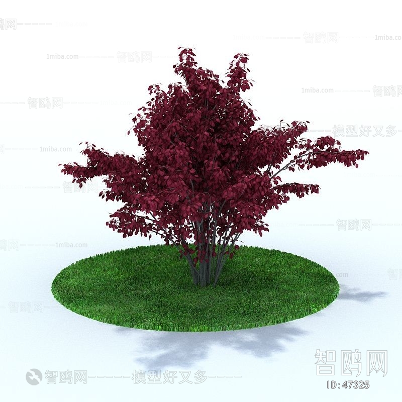 Modern Tree/shrub/grass