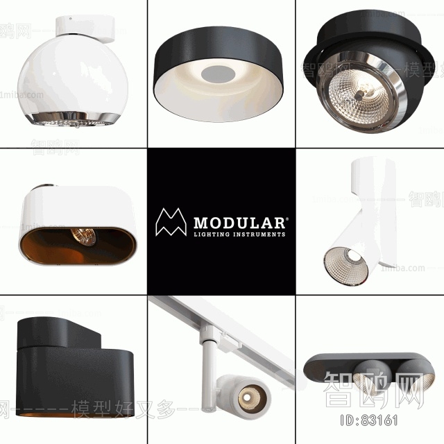 Modern Downlight Spot Light