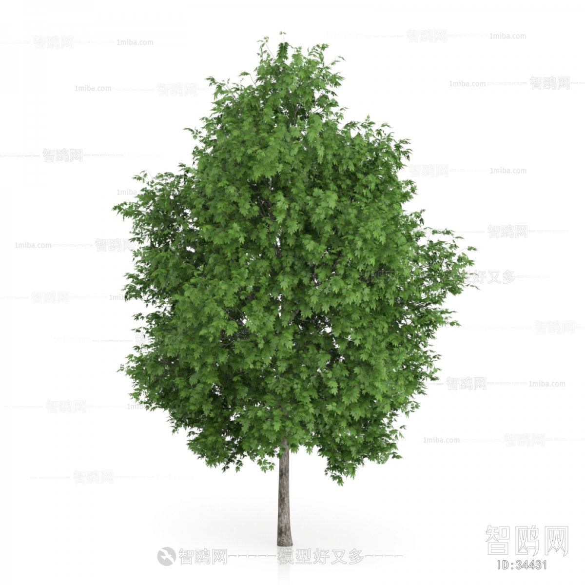 Modern Tree/shrub/grass