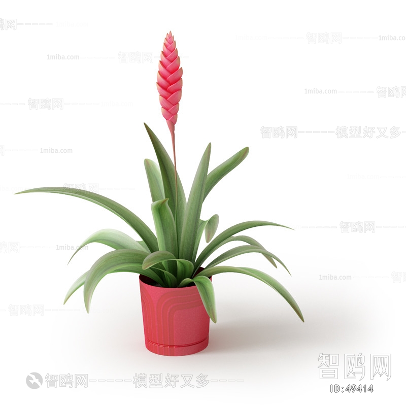 Modern Potted Green Plant