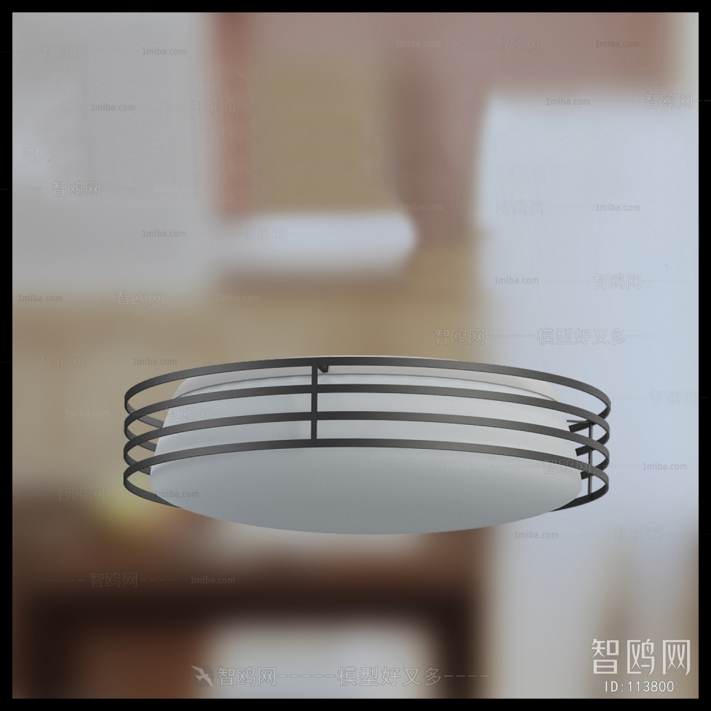 Modern Ceiling Ceiling Lamp