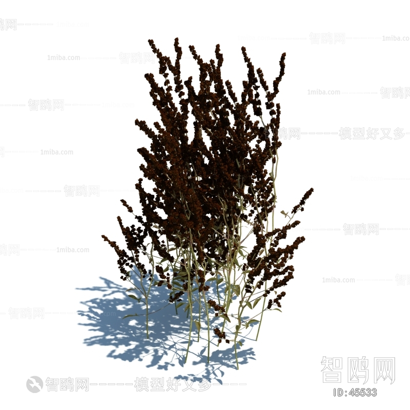 Modern Tree/shrub/grass