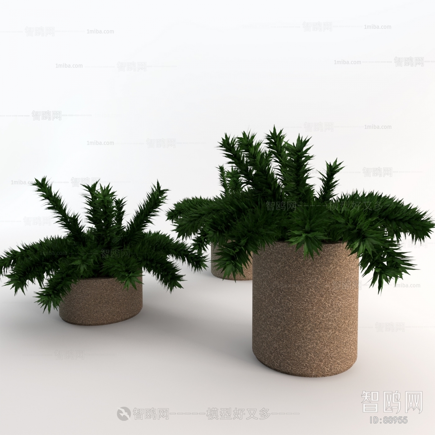 Modern Potted Green Plant