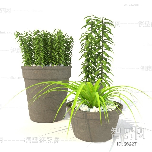 Modern Potted Green Plant