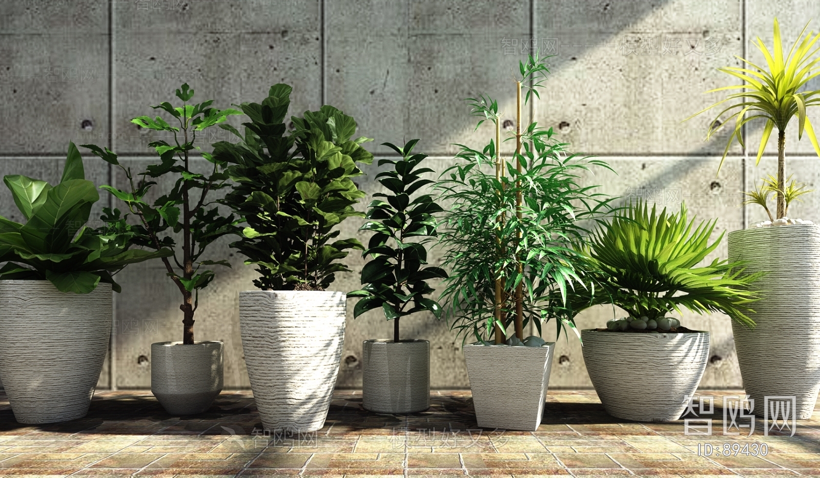 Modern Potted Green Plant