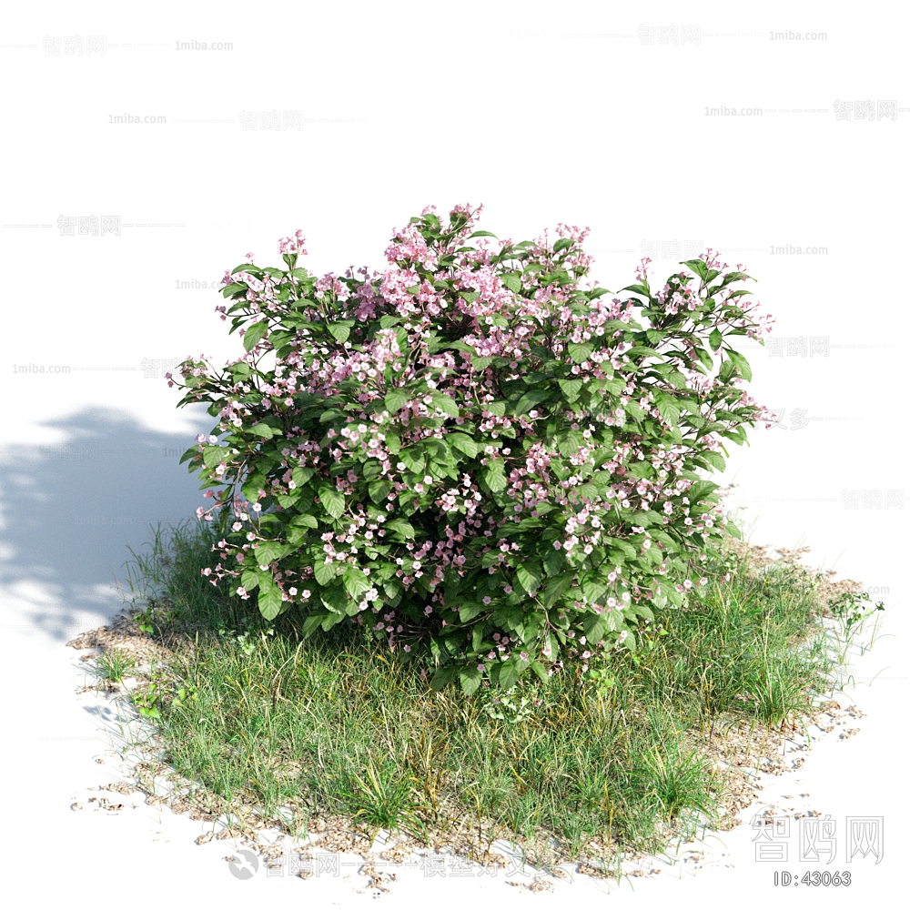 Modern Tree/shrub/grass