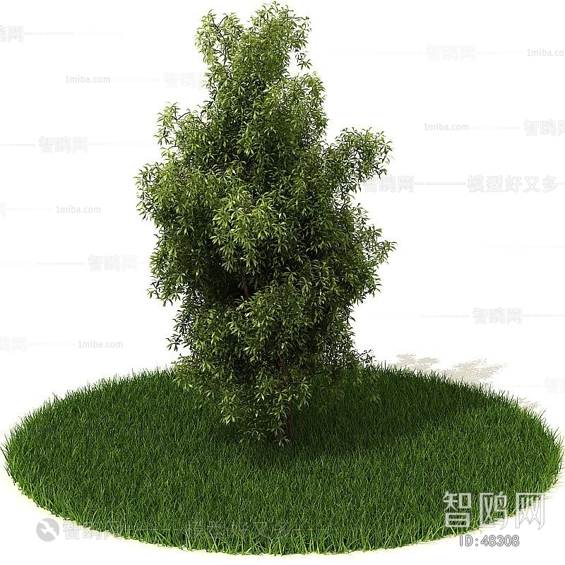 Modern Tree/shrub/grass