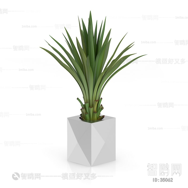 Modern Potted Green Plant