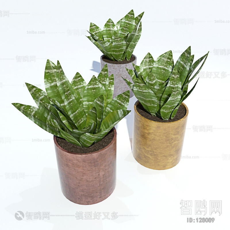 Modern Potted Green Plant