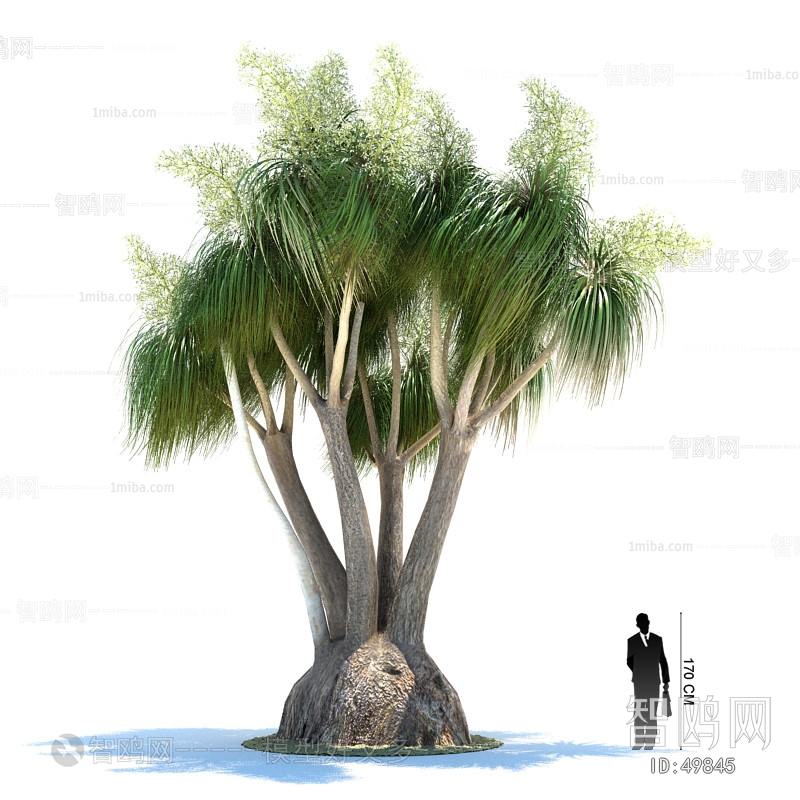 Modern Tree/shrub/grass