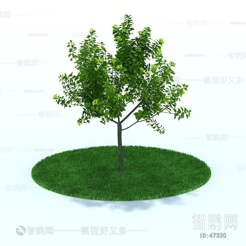 Modern Tree/shrub/grass