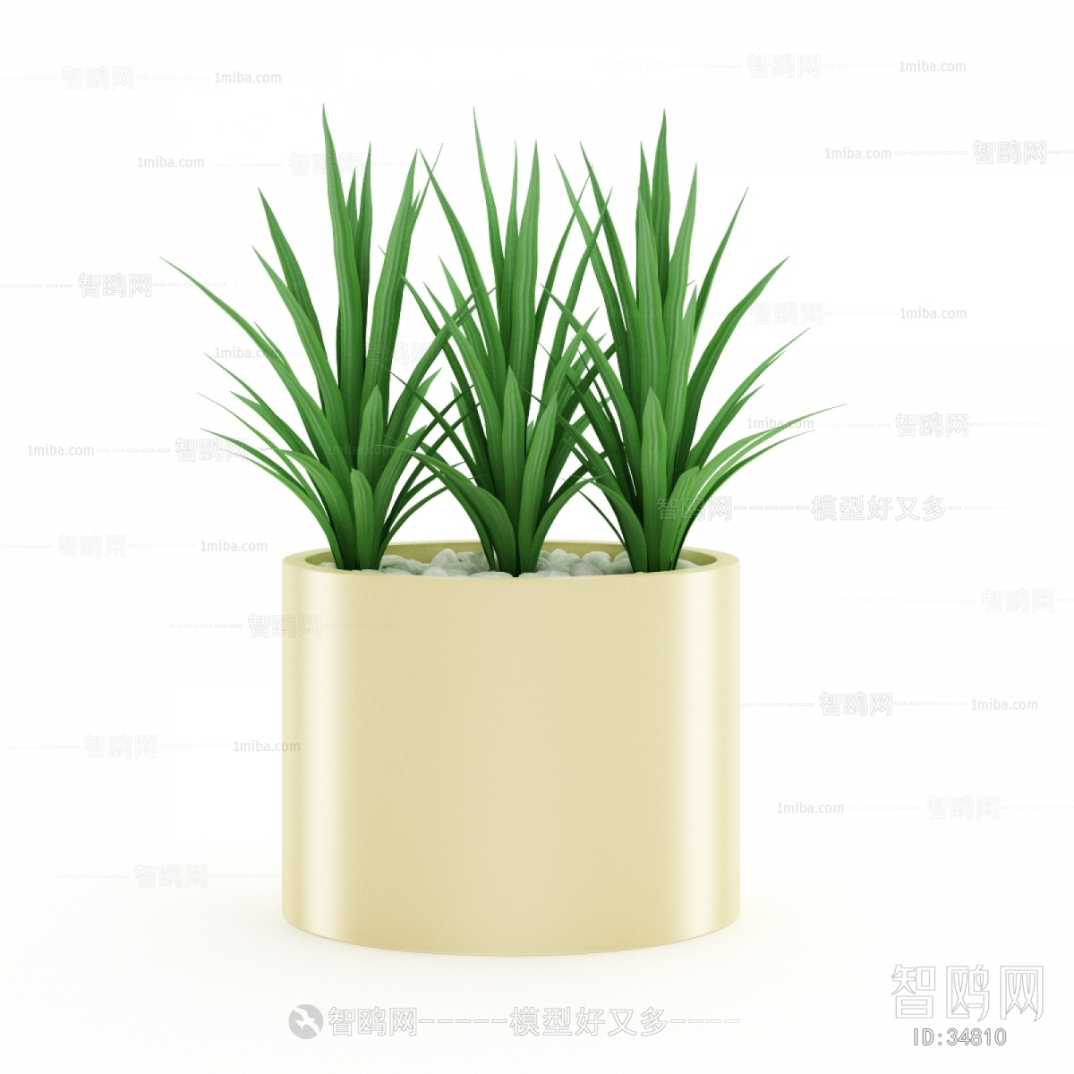 Modern Potted Green Plant