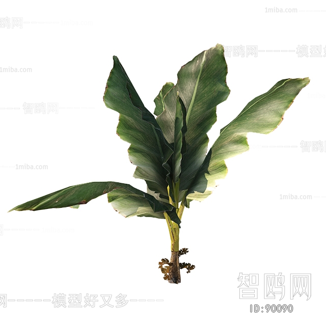 现代绿植盆栽