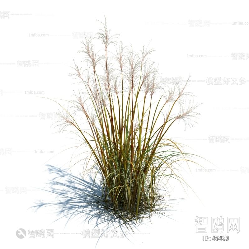 Modern Tree/shrub/grass