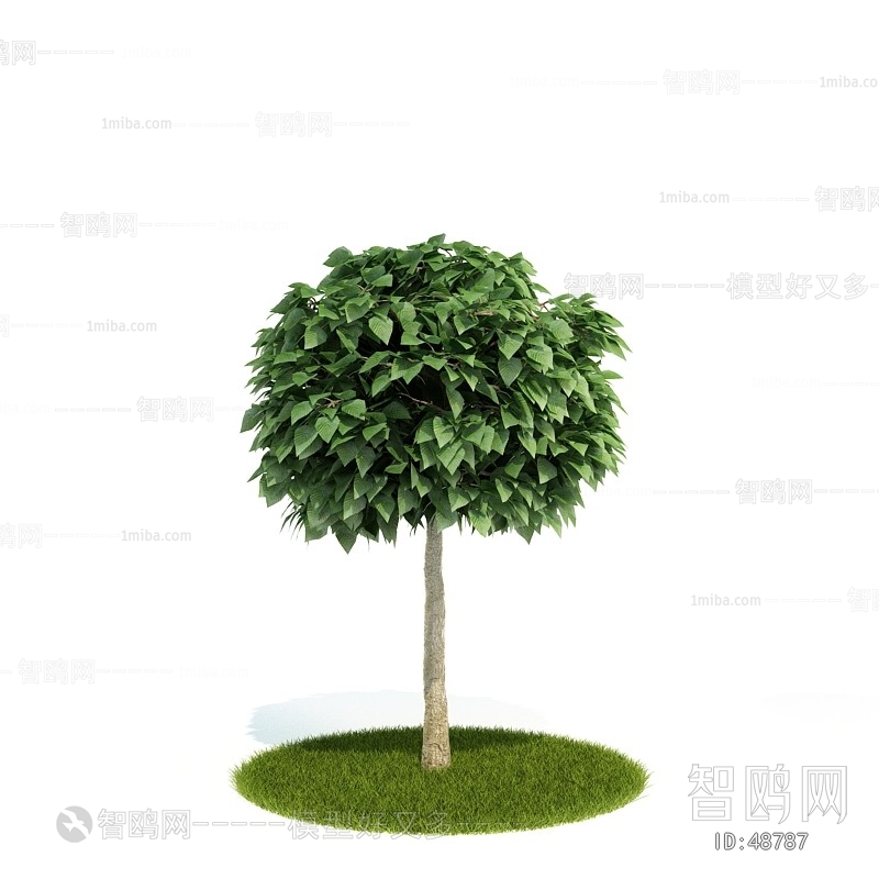 Modern Tree/shrub/grass