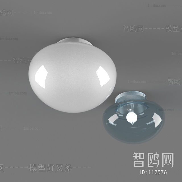 Modern Ceiling Ceiling Lamp