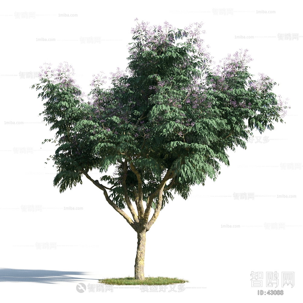 Modern Tree/shrub/grass