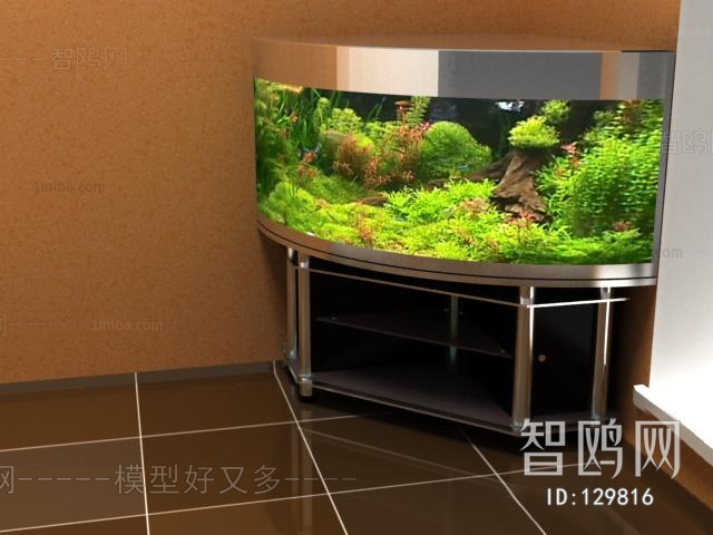 Modern Fish Tank