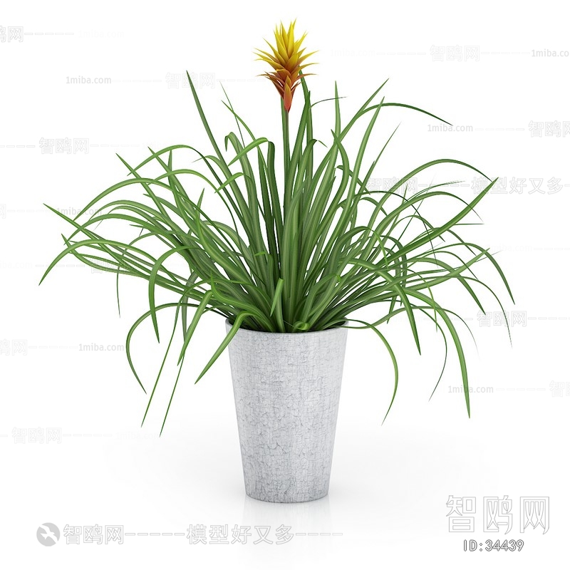 Modern Potted Green Plant