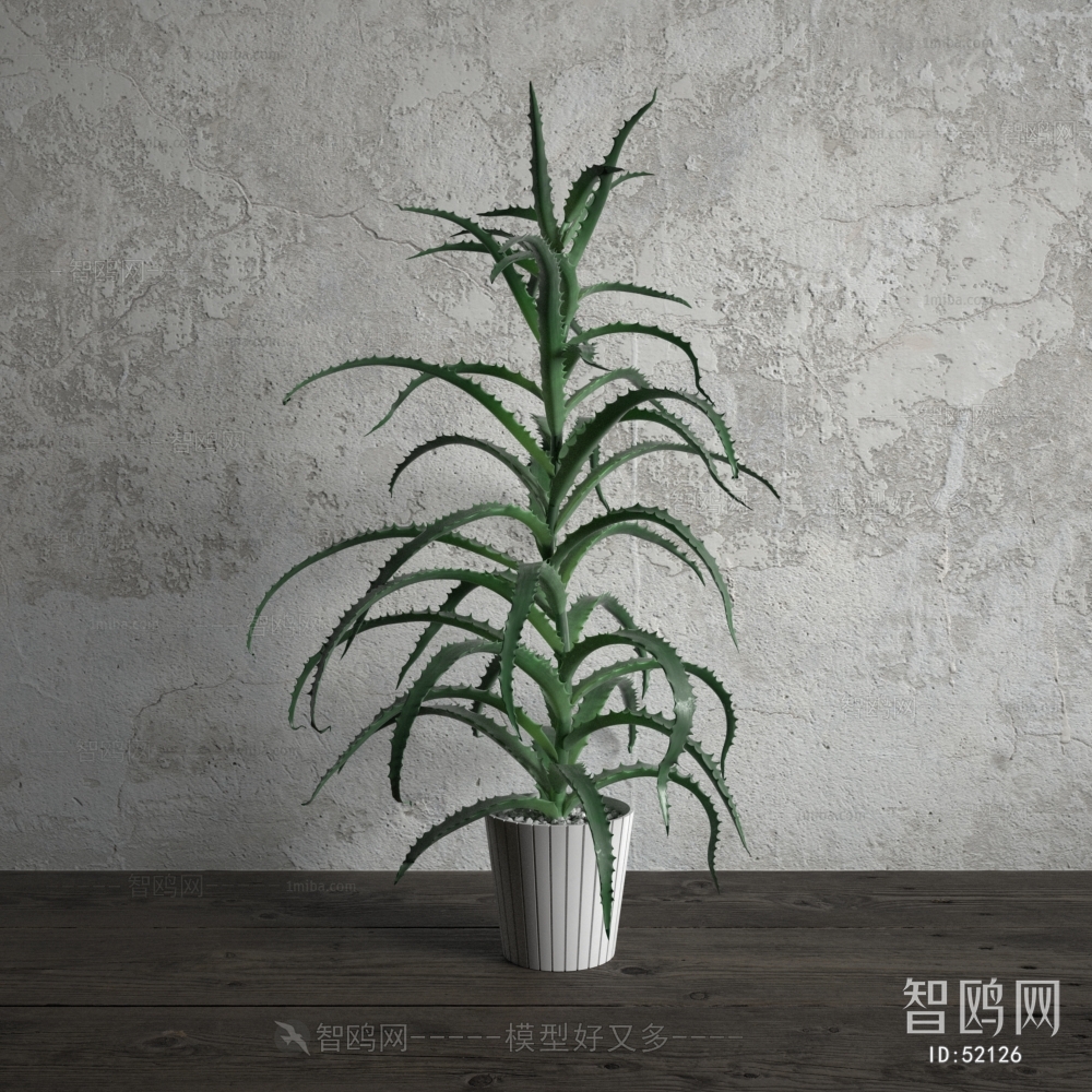 Modern Potted Green Plant