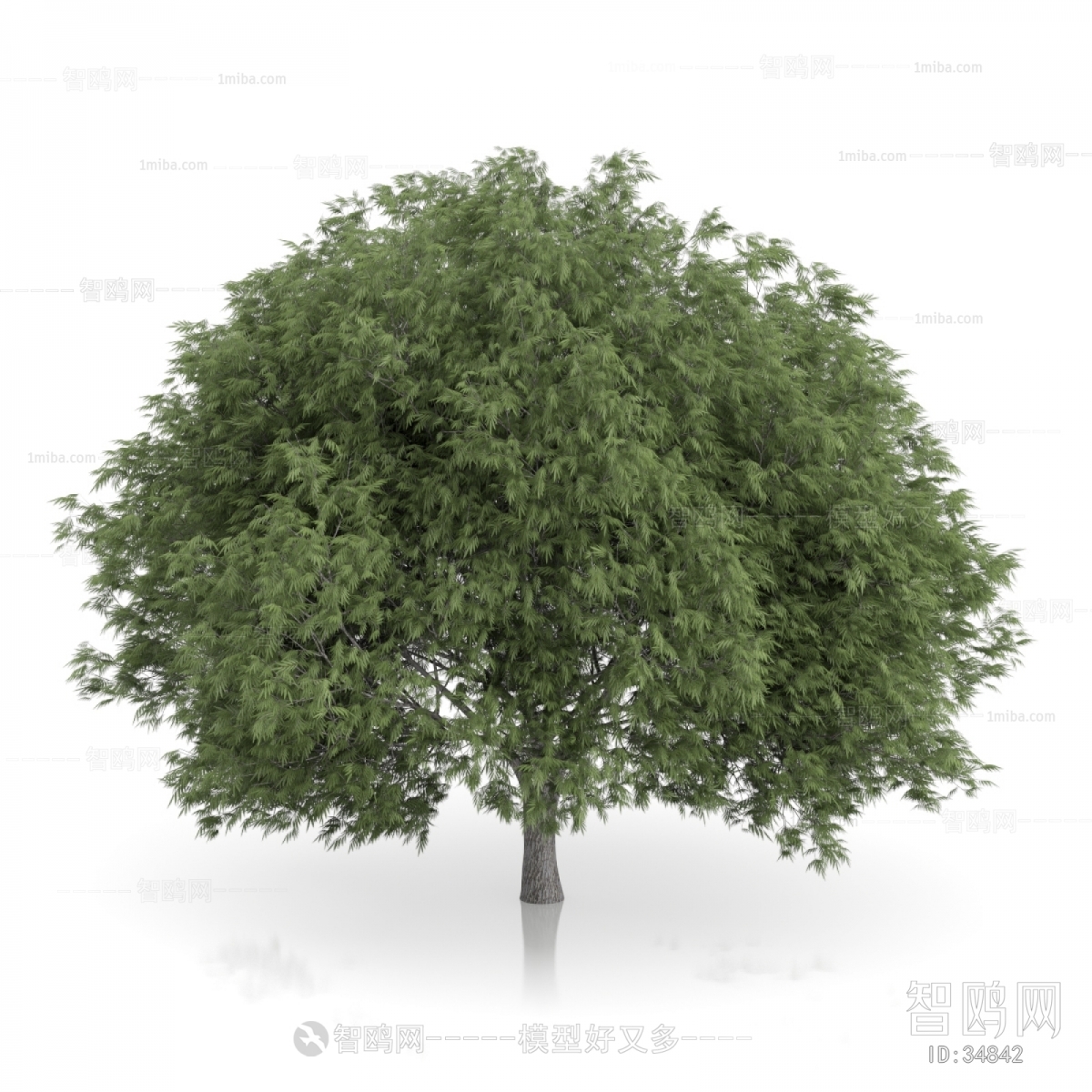 Modern Tree/shrub/grass